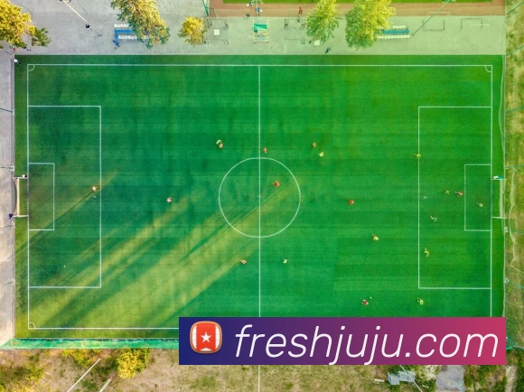 AG体育APP 封面图